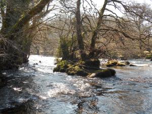 River on Dartmoor